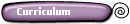 Curriculum