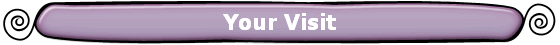 Your Visit